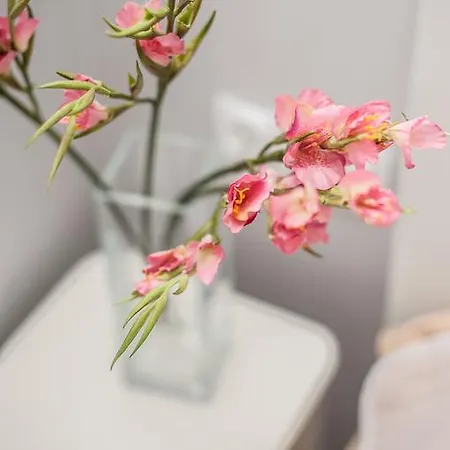 Sea-House Apartment Kołobrzeg Zewnętrze zdjęcie